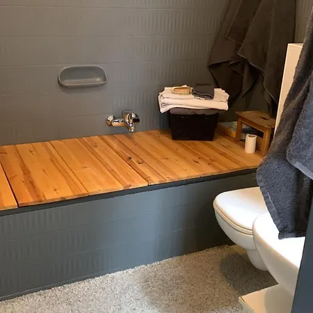 Cozy Black Forest-nest Near Europa Park Apartment Offenburg
